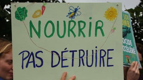 Désinformation sur la loi Duplomb : les Français ne sont pas dupes