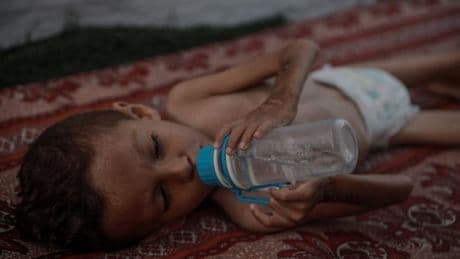 Famine in Gaza officially declared by UN-backed group monitoring world hunger