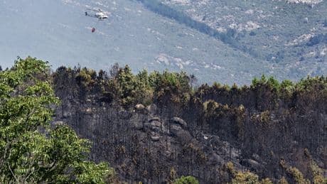 El incendio de Ávila se complica cada vez más y encara las horas más difíciles