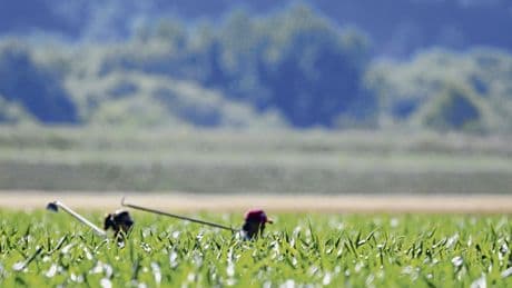 Klimawandel | Gefährliche Hitze am Arbeitsplatz