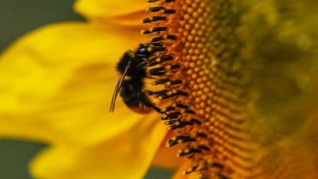 Wetter: Wetter in NRW nähert sich wieder der 30-Grad-Marke