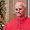 Élection du pape : qui est Léon XIV, le nouveau souverain pontife ?