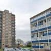 Man arrested after woman stabbed to death in Enfield