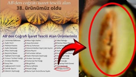 Avrupa'nın zirvesinde artık o da var! O ilçemizin ünlü Kavunu, AB'den coğrafi işaret tescili aldı: İşte gurur listemiz!