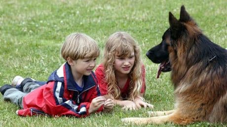 Elbvertiefung: Der tägliche Newsletter aus Hamburg: Hund oder viele Kinder?