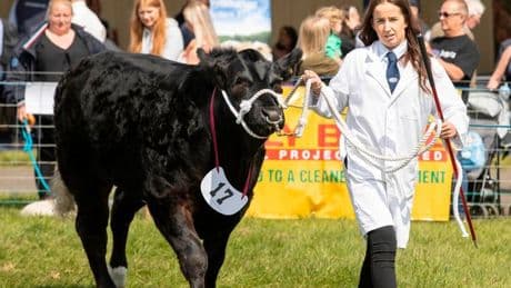 Countdown begins for the return of Ayr County Show