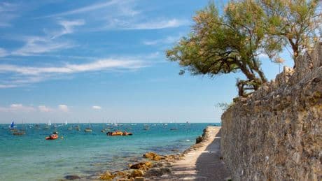 Edwardian seaside resort on UK’s sunniest island to be huge this summer – one very famous local reveals where to visit