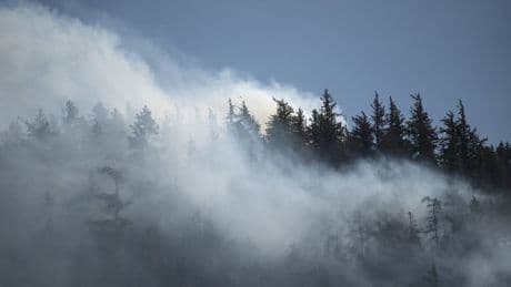 Changes in wind direction could blow wildfire smoke into southwestern B.C.