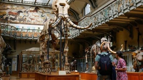 Le Muséum national d'histoire naturelle de Paris victime d'"une cyberattaque vraiment massive" depuis plusieurs semaines