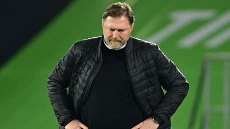 Nach Entlassung beim VfL Wolfsburg - Hasenhüttl rief Ex-Spieler an