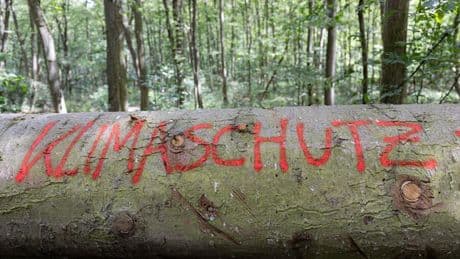 Koalitionsvertrag: Umweltverbände fürchten Rückschritte beim Klimaschutz