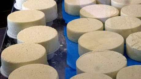 Fromages rappelés : un « lien possible » avec 21 cas de listériose dont 2 décès