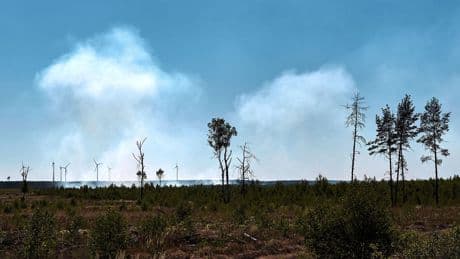 Trockenheit: Waldbrände in Brandenburg ausgebrochen