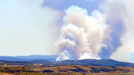 Orman alevlere teslim oldu, duman gökyüzüne ulaştı: Birçok ilden yangın haberi geliyor