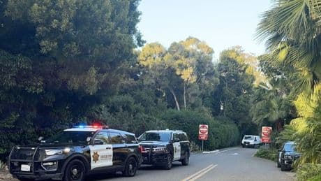 Woman left in a coma after violent break-in at Beanie Babies billionaire’s California home