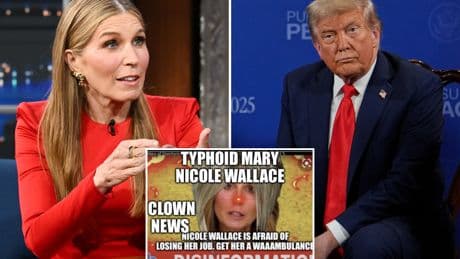 Trump torches host Nicolle Wallace as ‘loser’ with ‘poor ratings,’ predicts her firing: ‘MSNBC is DEAD!’