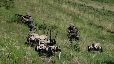 El ejército chino presenta sus nuevos 'lobos robot': un arma que no se detiene ante el enemigo
