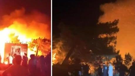 Hatay Samandağ'da orman yangını