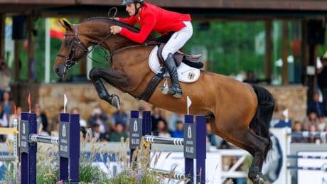 Reitsport: Springreiter Richard Vogel gewinnt EM-Gold