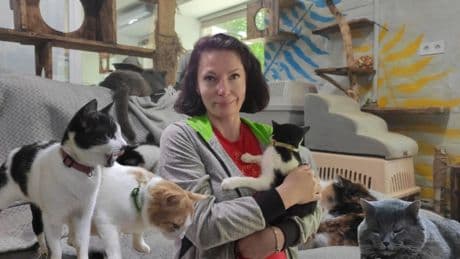 El santuario para gatos de Ucrania brinda consuelo a los animales rescatados del frente