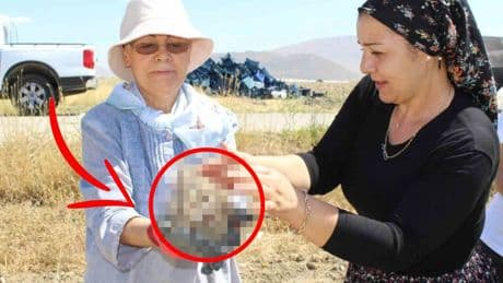 Ekimi 3 yıl önce yapıldı, meyvesi bu yıl alındı! Elle tek tek toplanıyor: Kazancı dudak uçuklatıyor