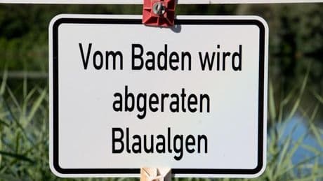 Freizeit: Wetterumschwung stoppt Badespaß - Warnungen vor Blaualgen