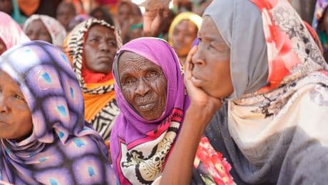 Driven to starvation, Sudanese people eat weeds and plants to survive as war rages