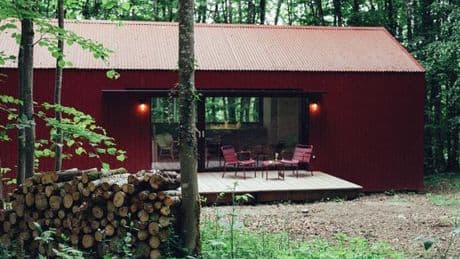 Dans le Perche, l’esprit de la forêt