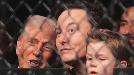 Mixed Martial Arts mit Trump: Musk mit 4 Jahre altem Sohn bei Kampfsport-Spektakel