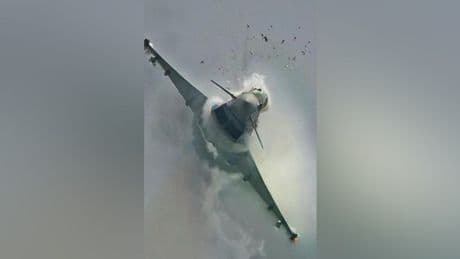 Eurofighter zerfetzt Möwe: Fotos zeigen tödlichen Aufprall