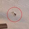 Stunning discovery after 'extraterrestrial visitor' smashes through Georgia home