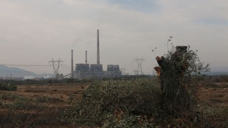 Hatay’da Güney Ekoloji’den çağrı: “Barış ve doğayla uyum şimdi”