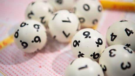 9 Millionen Euro pro Tag - Wussten Sie, was mit Ihrem Lotto-Einsatz passiert?