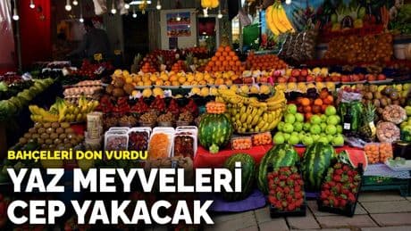 Bahçeleri don vurdu: Yaz meyveleri cep yakacak