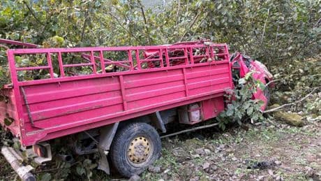 Giresun'da fındık bahçesinde kamyonet devrildi: 4 kişi öldü, 1 kişi yaralandı