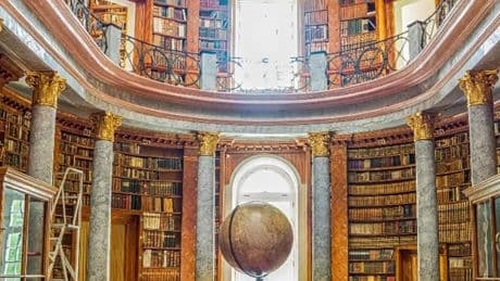 Macaristan'da 1000 yıllık kütüphanede böcek istilası: 100 bin kitap temizlenecek