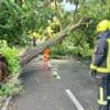Nach schwerem Unwetter über Berlin: Mehr als 750 Feuerwehreinsätze, viele entwurzelte Bäume, drei Schwerverletzte