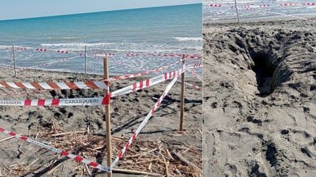 Riccardo Boni, il ragazzo morto in spiaggia a Montalto di Castro sepolto dalla sabbia: ipotesi malore. «Patologie pregresse?»