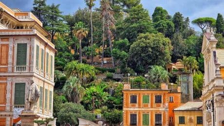 Verde urbano: costi e rischi tra alberi da monitorare, curare, abbattere e potare