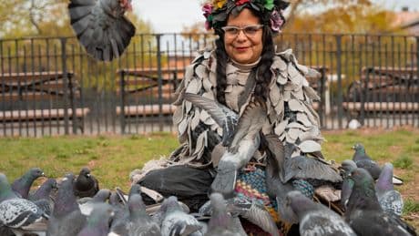 Who Would Steal New York City’s Pigeons? Mother Pigeon Thought She Knew.