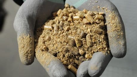 UK ‘could take more US wood pellets to burn for electricity’ amid trade talks