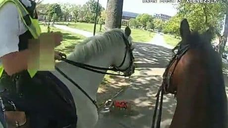 Terrifying moment police horses chased and attacked by out of control dog in London park