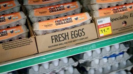 USA: Preise für Eier steigen kurz vor Ostern auf Rekordhoch