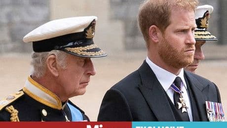 'Prince Harry's fragile ego to blame for feud - he seems incapable of saying one word'