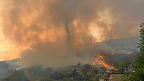 León arde: desalojos y fuego descontrolado en dos incendios de nivel 2