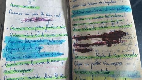 El cuaderno marrón