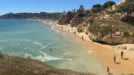 British tourists warned against grotesque beach habit branded 'bizarre'