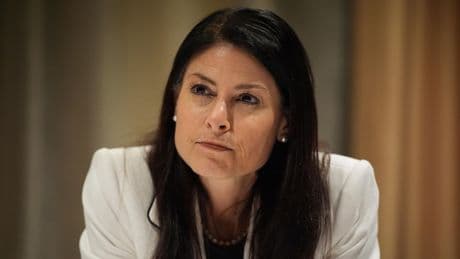 Michigan attorney general says she is investigating a company promoting 'twin flame' romance