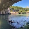 Wasserqualität: Rom will Fluss Tiber wieder badetauglich machen