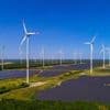 Solar, Moor und Windkraft: Neun Mutmacher für mehr Klimaschutz in der Metropolregion